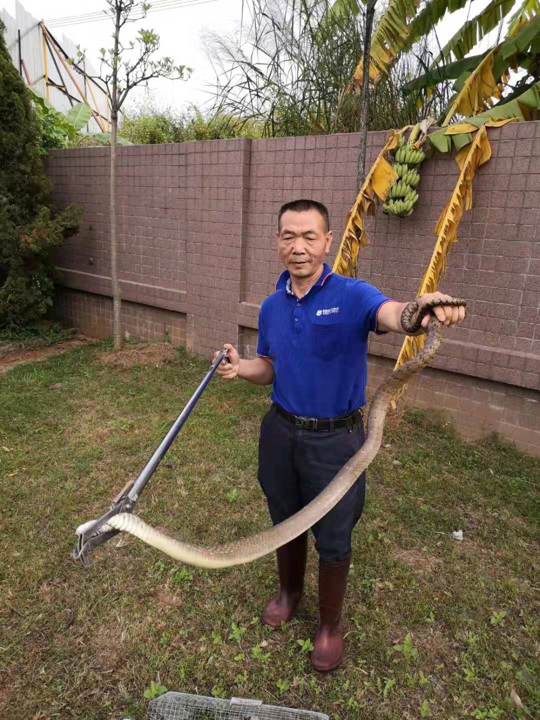 防蛇公司