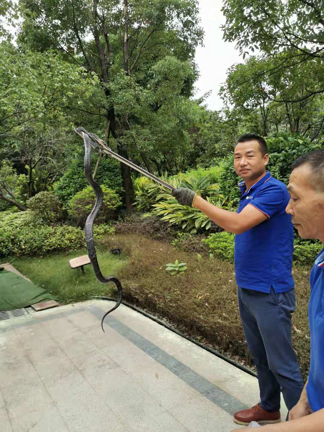 广州防蛇公司